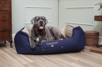 Best Dog Beds for Big Dogs