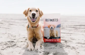 7 Best Dog Foods for Sensitive Stomachs in 2025