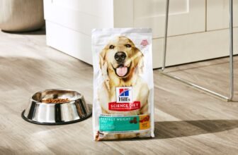 Best Dog Foods for Weight Management