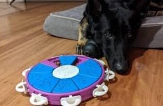 Best Dog Puzzle Toys