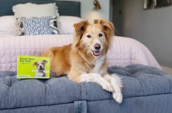 Best Dog DNA Tests