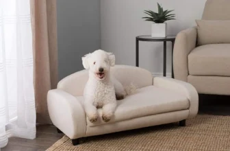 Best Dog Sofa Beds