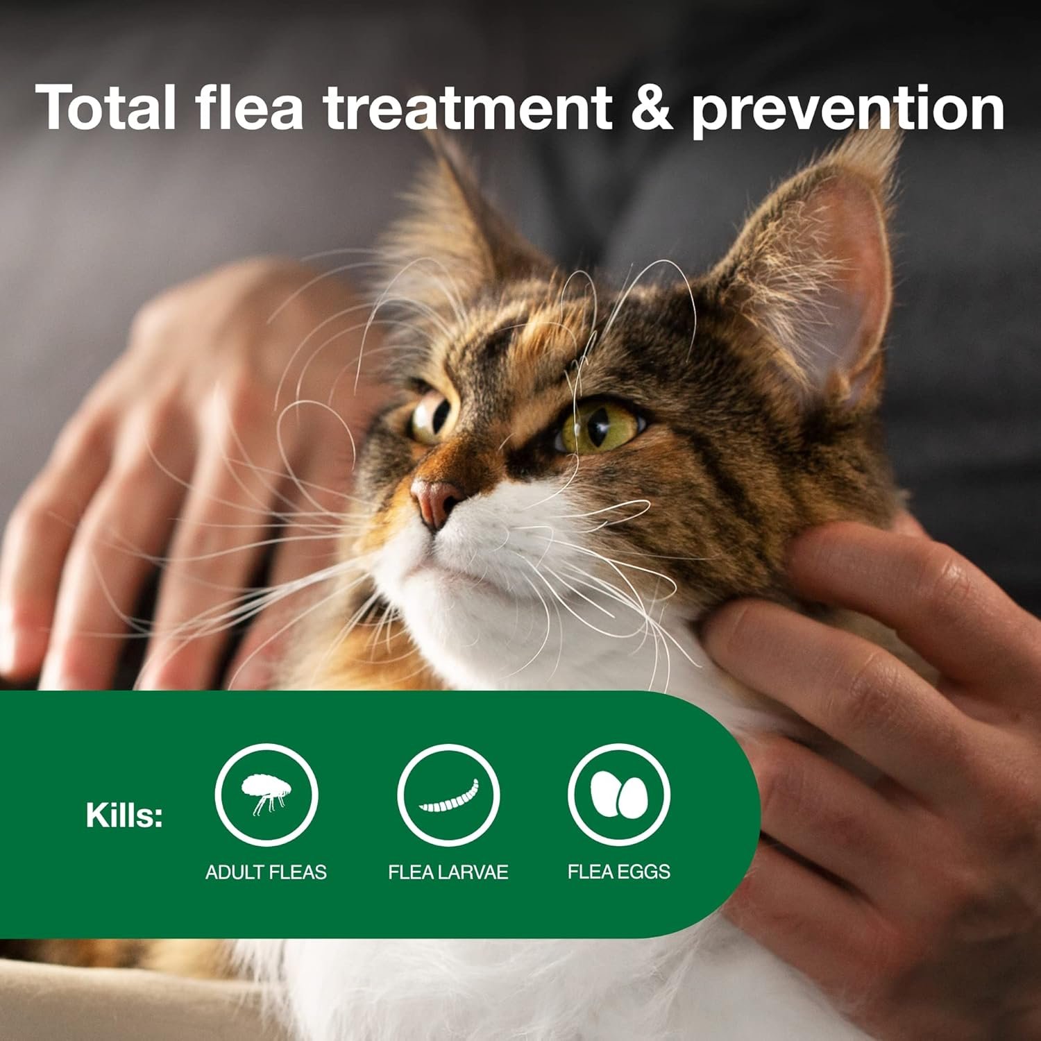 Advantage II Large Cat Vet-Recommended Flea Treatment & Prevention | Cats Over 9 lbs. | 4-Month Supply - Image 4