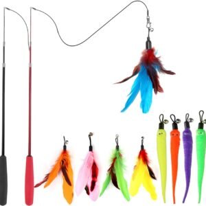 Interactive Cat Toys – Retractable Wand Toy and Feather Toys Refills for Indoor Cats to Chase and Exercise
