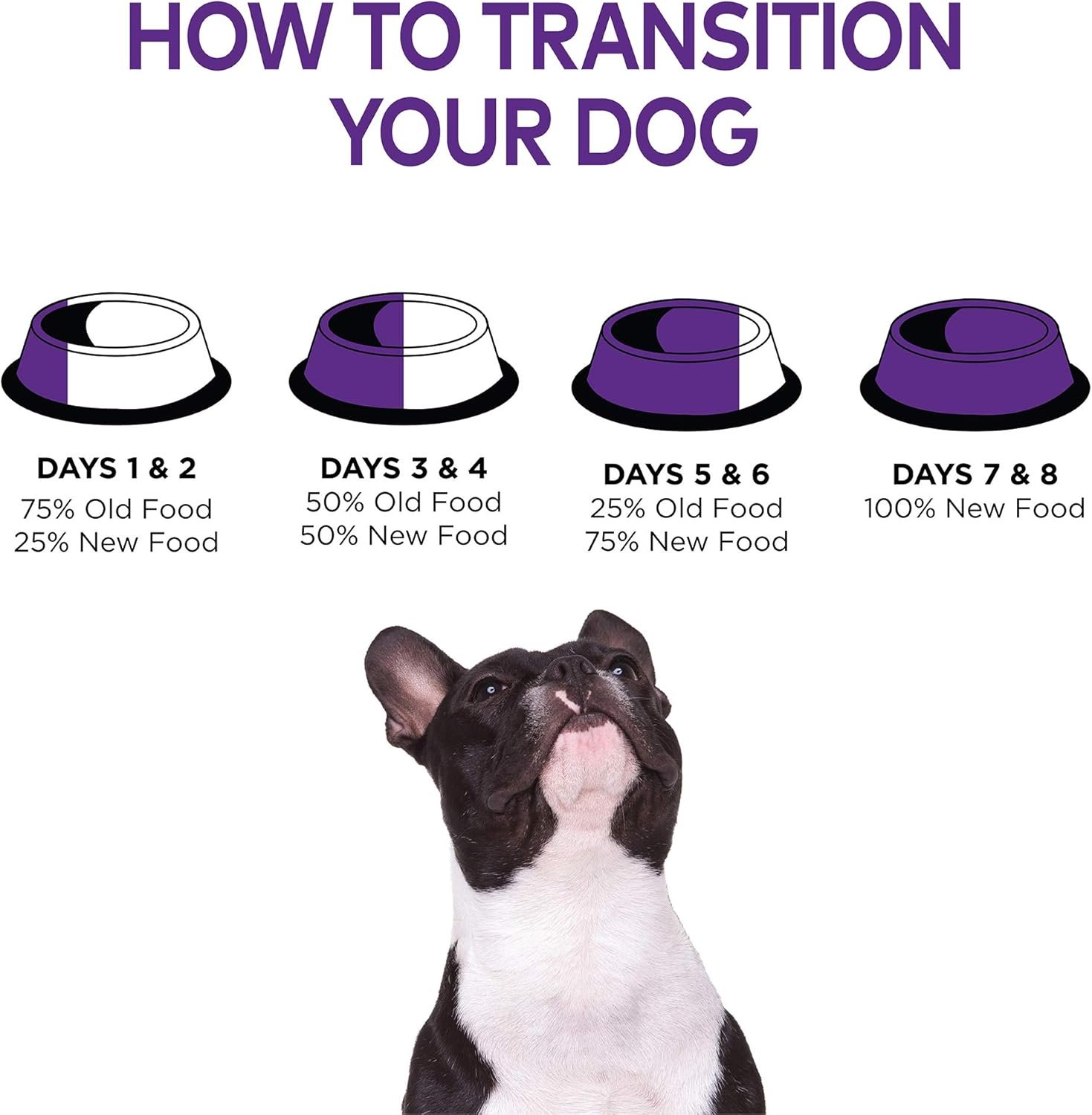 Wellness Complete Health Dry Dog Food, Wholesome Grains, Natural, Healthy Weight Chicken & Peas Recipe, (26-Pound Bag) - Image 11