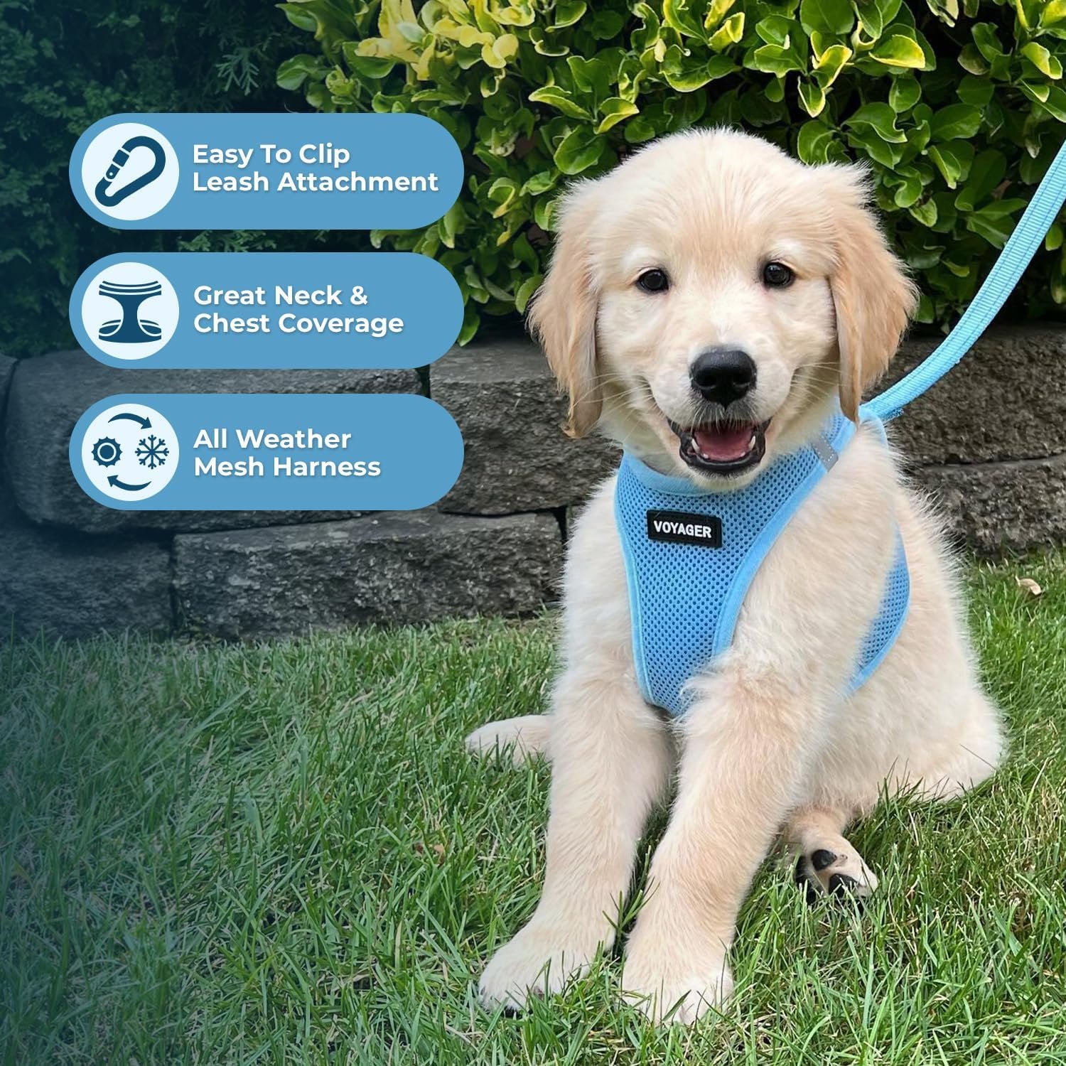 Voyager Step-in Air All Weather Mesh Harness and Reflective Dog 5 ft Leash Combo with Neoprene Handle, for Small, Medium and Large Breed Puppies by Best Pet Supplies - Set (Baby Blue), M - Image 7