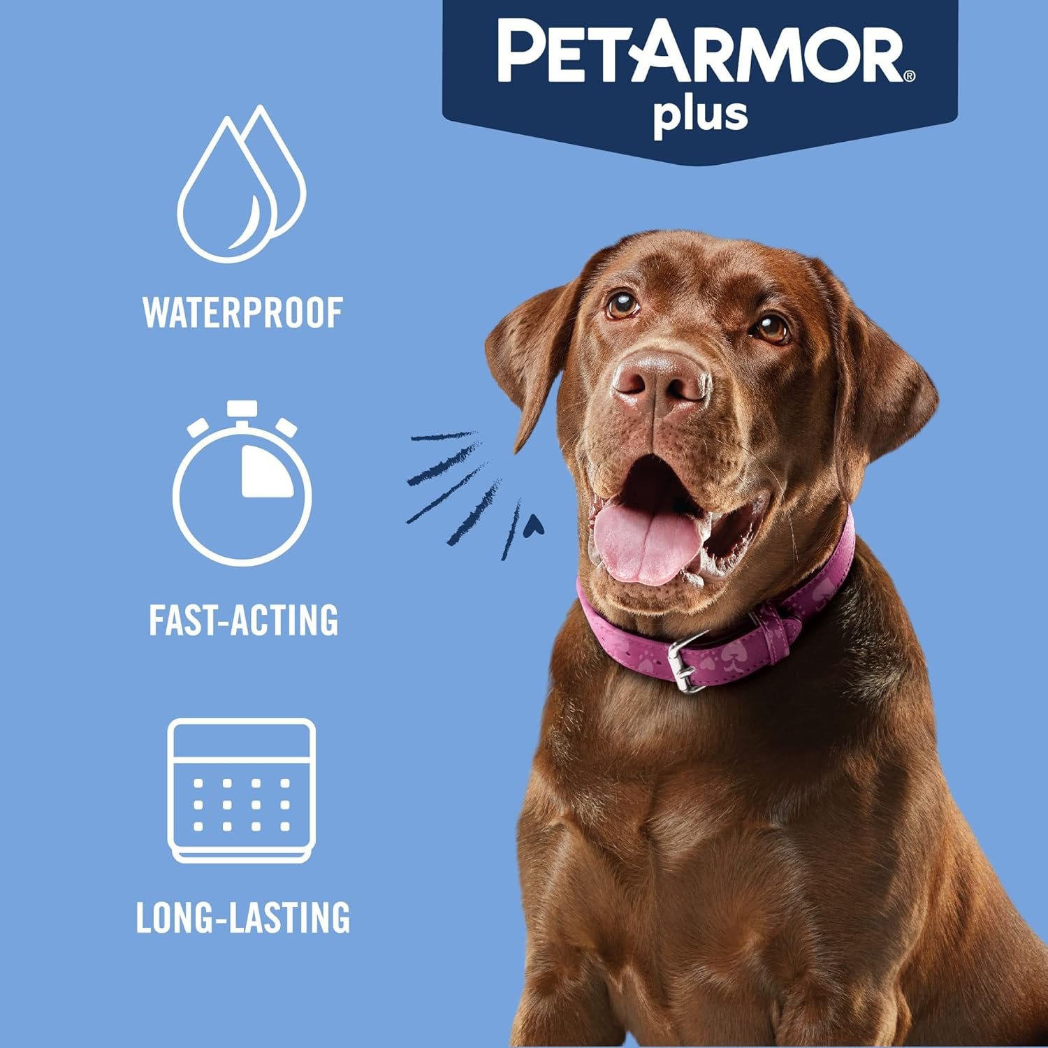 PetArmor Plus Flea and Tick Prevention for Dogs, Dog Flea and Tick Treatment, 6 Doses, Waterproof Topical, Fast Acting, Large Dogs Dogs (45-88 lbs) - Image 9