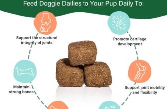 Best Dog Probiotic Supplements for Improved Digestive Health