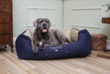 7 Best Dog Beds for Big Dogs in 2025