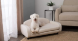 7 Best Dog Sofa Beds in 2025