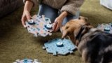7 Best Dog Talking Buttons for Communication and Training Your Pet Effectively