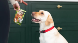 7 Best Dog Treats for Training in 2025