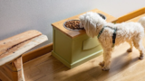 7 Best Elevated Dog Bowls in 2025