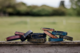 7 Best Leather Dog Collars in 2025