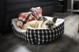 7 Best Orthopaedic Dog Beds for Enhanced Support in 2025